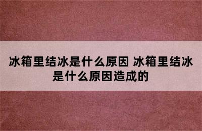 冰箱里结冰是什么原因 冰箱里结冰是什么原因造成的